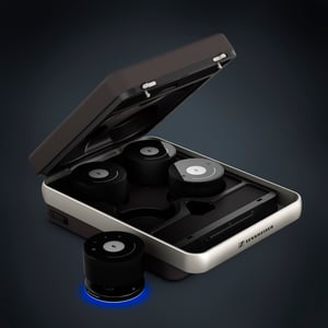 серость голубоватая