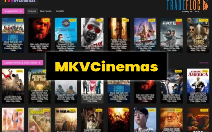 Один из крупнейших Индийских пиратских кинотеатров MKVCinemas прекратил&nbsp; работу под давлением правообладетелей из США